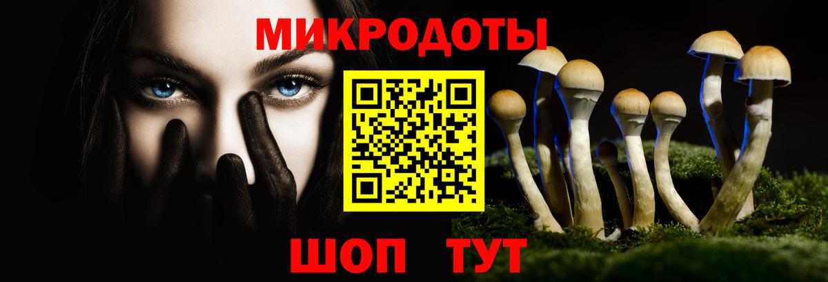 Псилоцибиновые грибы Psilocybine cubensis Санкт-Петербург